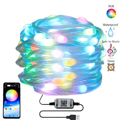 Christmas Smart LED String Lights